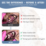 El spray dental para perros elimina el sarro, la placa y refresca el aliento al instante. El aerosol dental más avanzado para dientes saludables, encías y cuidado de la salud bucal